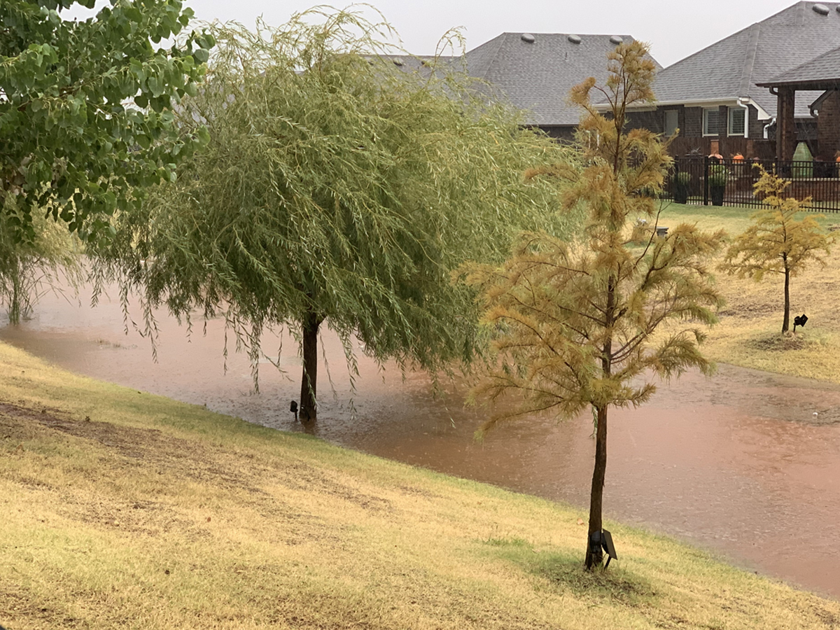 The view of Jen's favorite pond from her back yard after a plentiful rain storm. Cotton Wood, Wheeping Willow, and Bald Cyprus trees line the pond's bank.