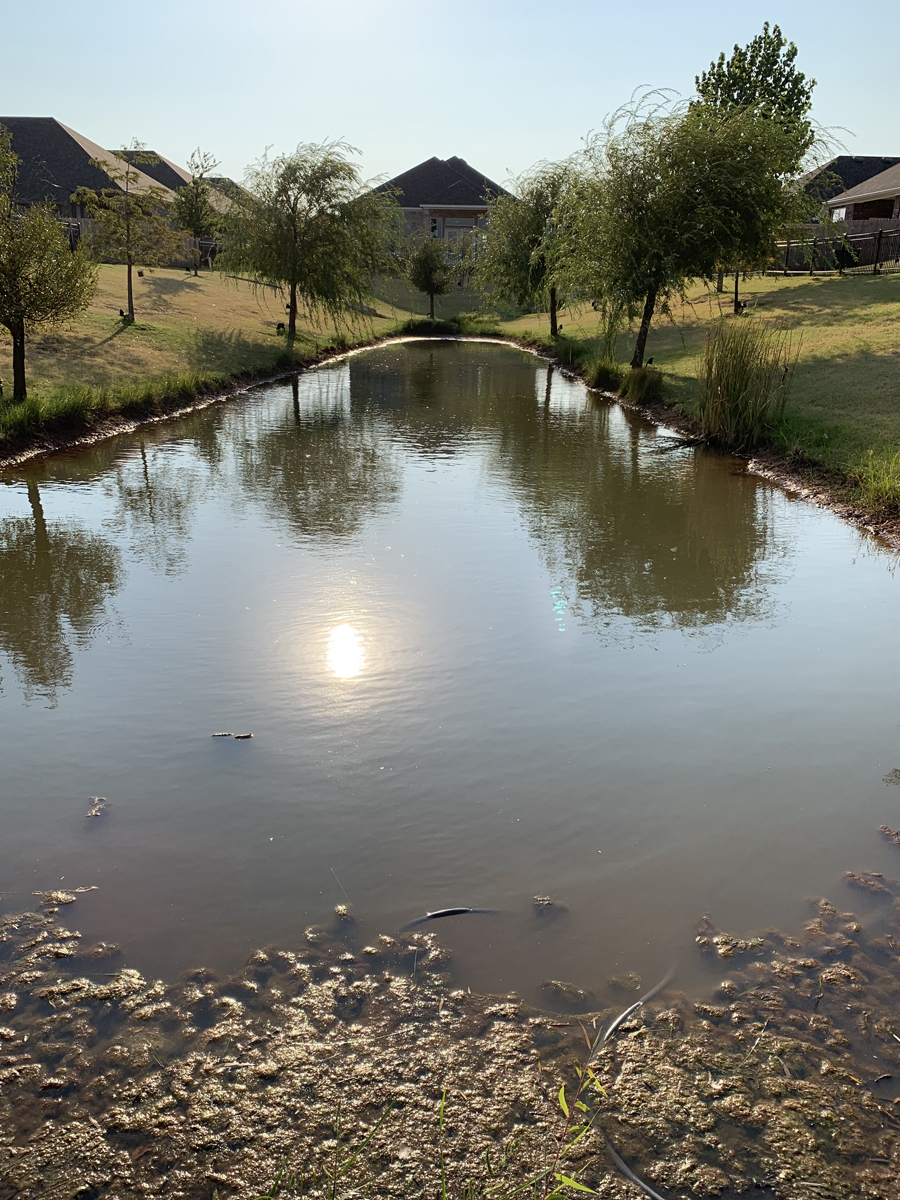 Jen's favorite pond, that is short on water due to the hot summer conditions. Jen and her neighbor were trying to add water from a nearby well but really we should have prayed for rain.