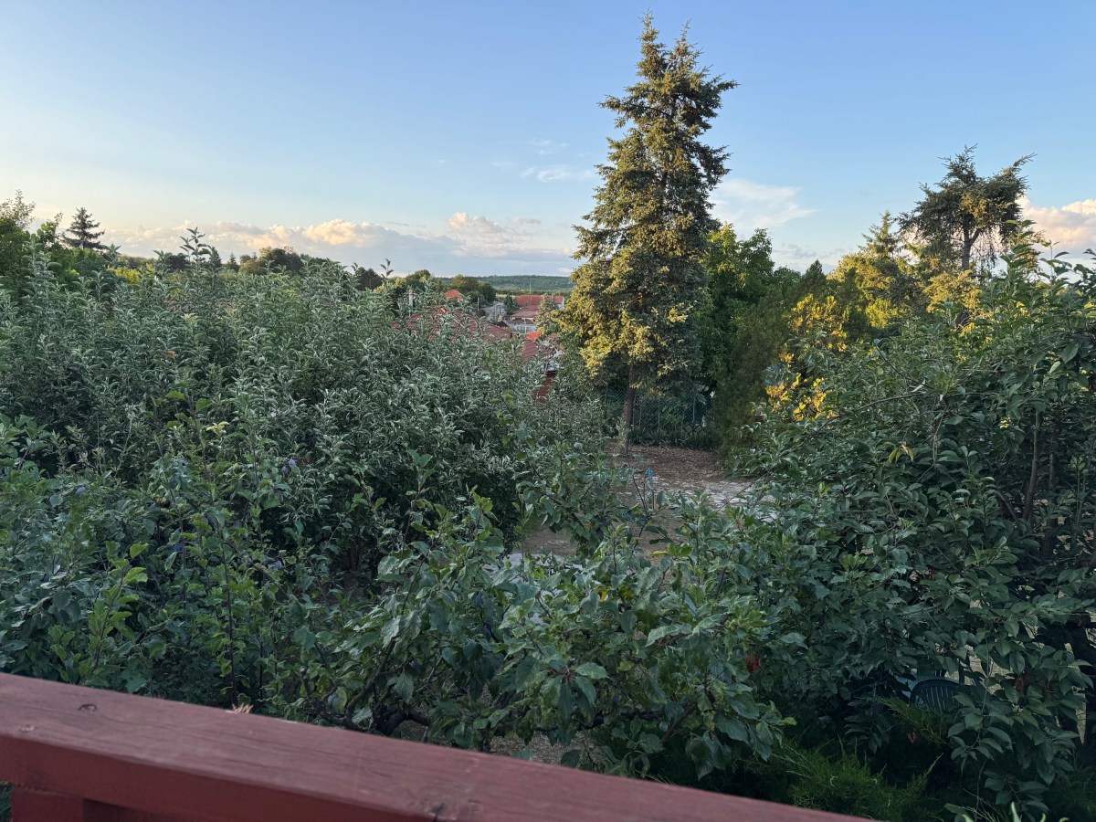 Two Years of&nbsp;Growth…