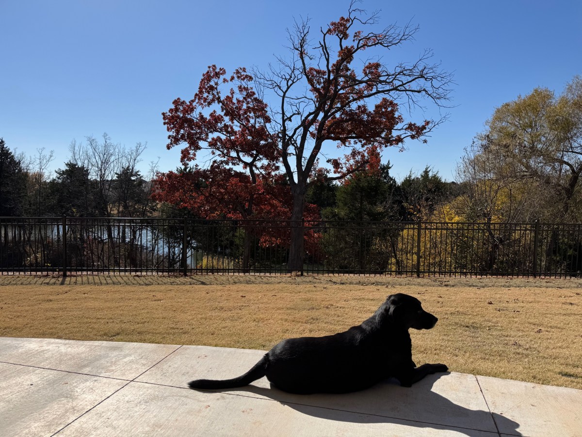 Reflecting on Thanksgiving