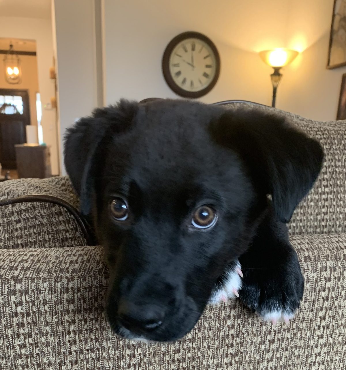 Love at First&nbsp;Bite